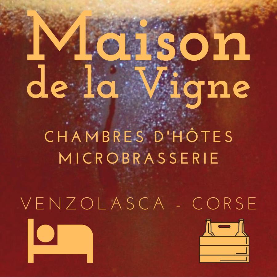Maison d'hôtes Maison De La Vigne Venzolasca
