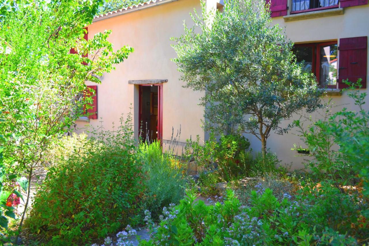 Maison De La Vigne Venzolasca